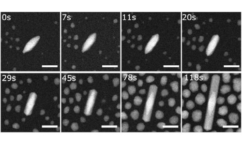 Révéler les secrets de la synthèse des nanoalliages anisotropes