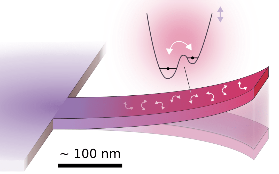 A new light on nanomechanical dissipation