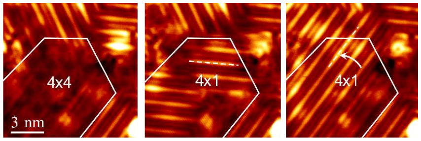 Exploring Exotic Electronic States in 2D Transition Metal Dichalcogenides