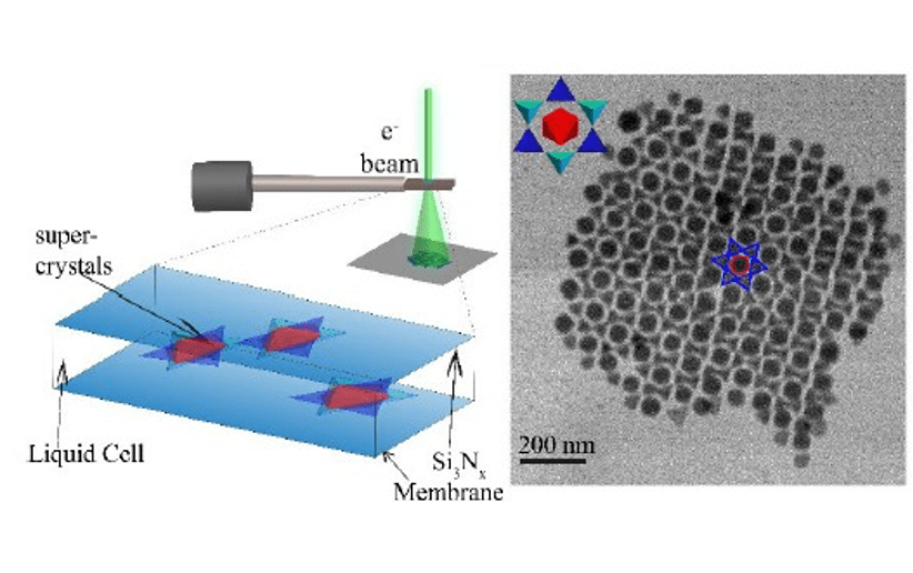 Postdoc (2 years): Structure and Dynamics of Supercrystals Studied by Liquid-Phase Transmission Electron Microscopy